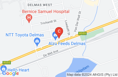 Car Service City Delmas location on map