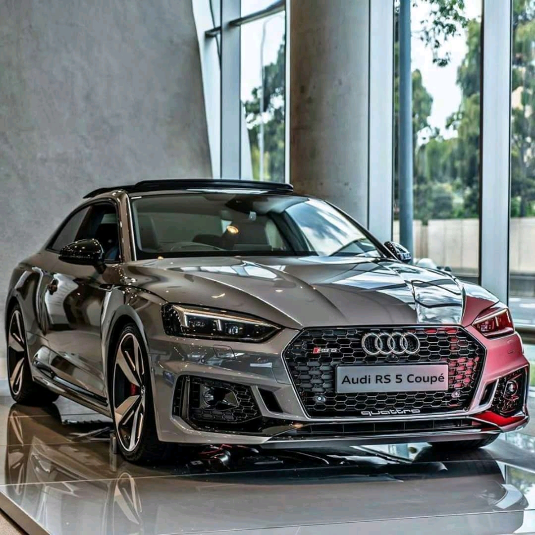 Audi & Volkswagen Specialist (PTY) LTD photo 828