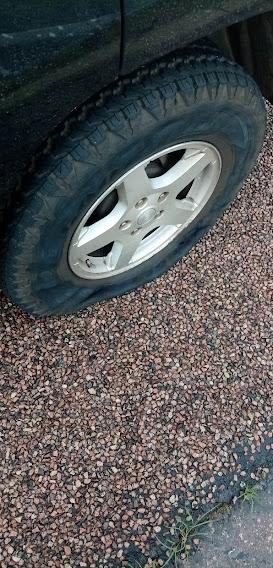 KGENGOE's MOBILE DIAGNOSTICS Inc. picture