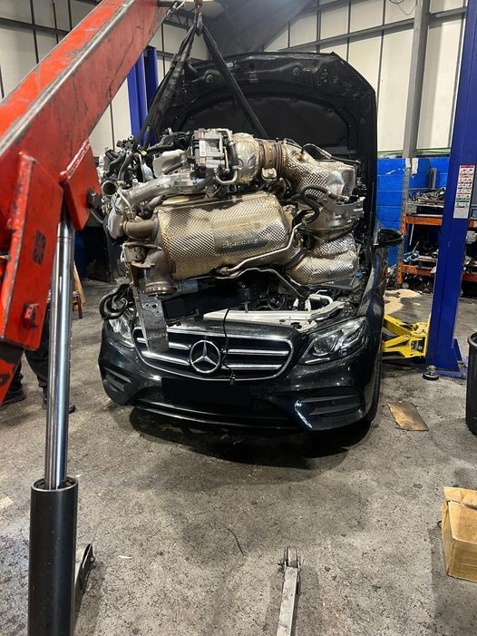 Lastroalpicinos workshop picture