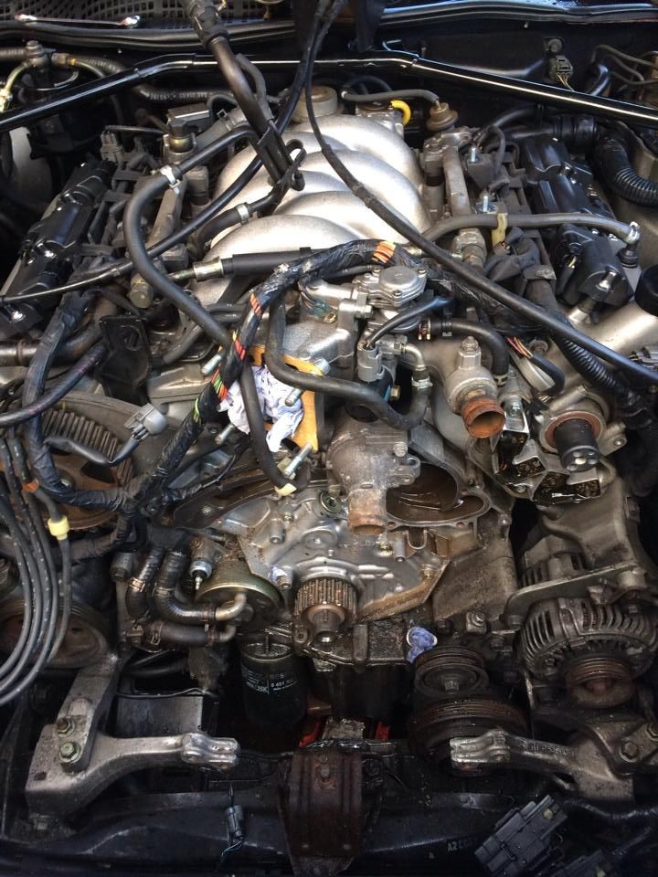 Lastroalpicinos workshop photo 3092