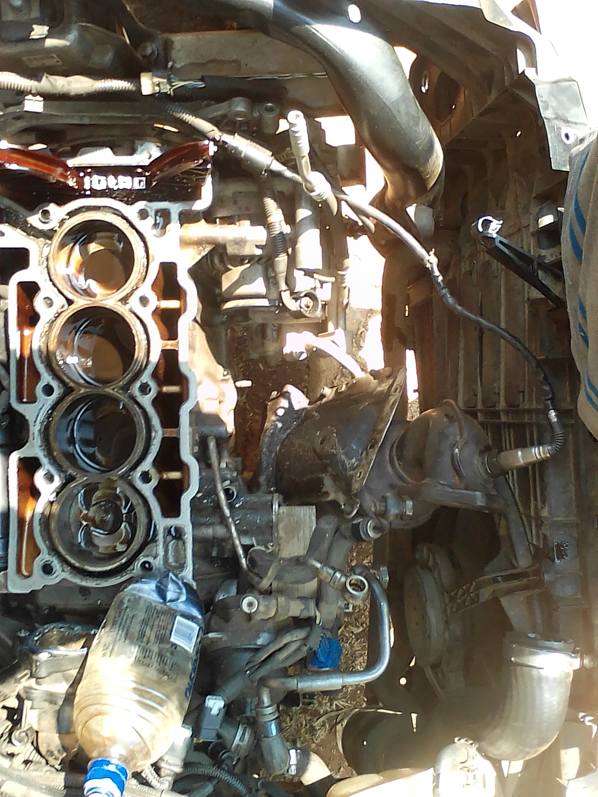 Champion Mechanics photo 1312