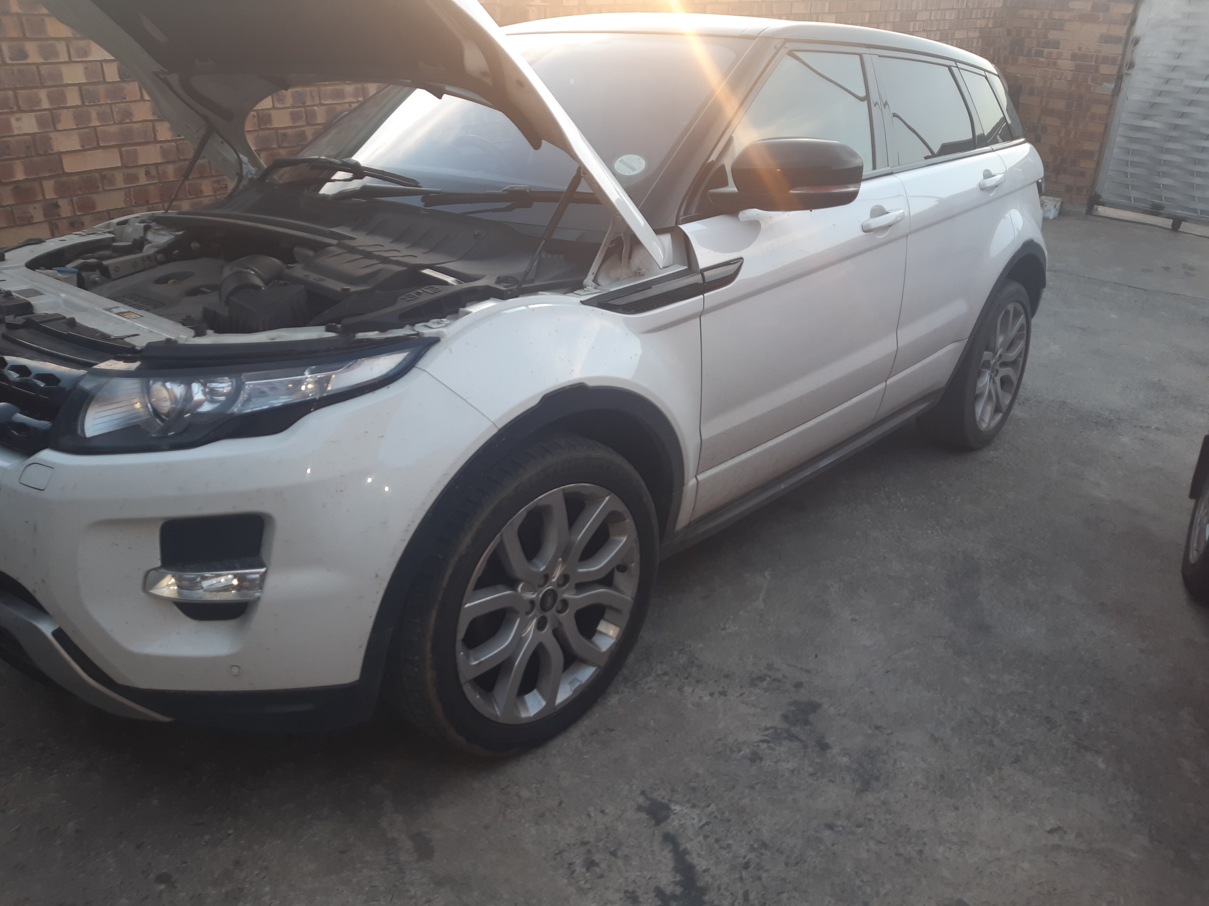 Moloi Diagnostic & Auto Electronic picture