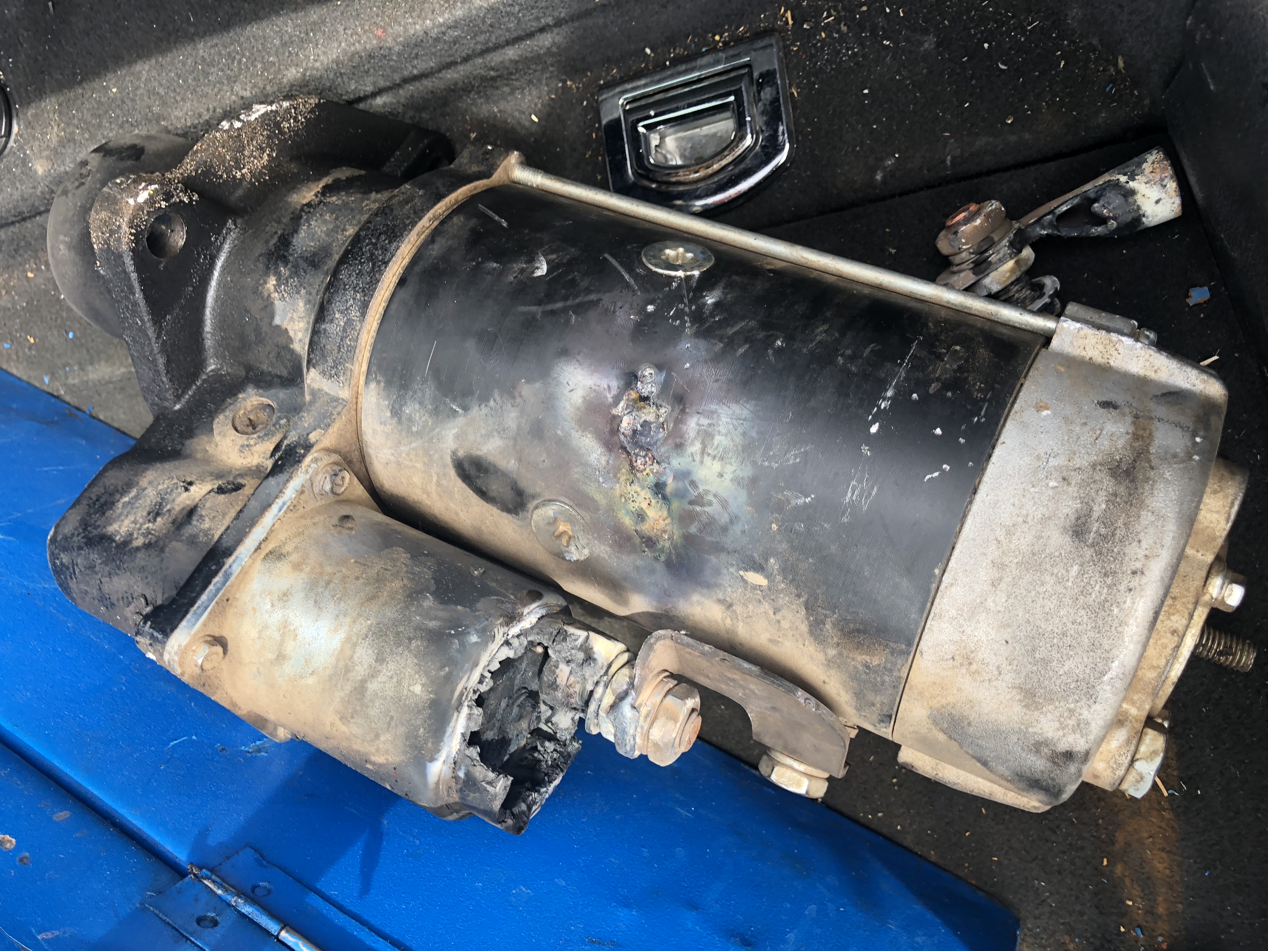 Motor Intellect photo 657