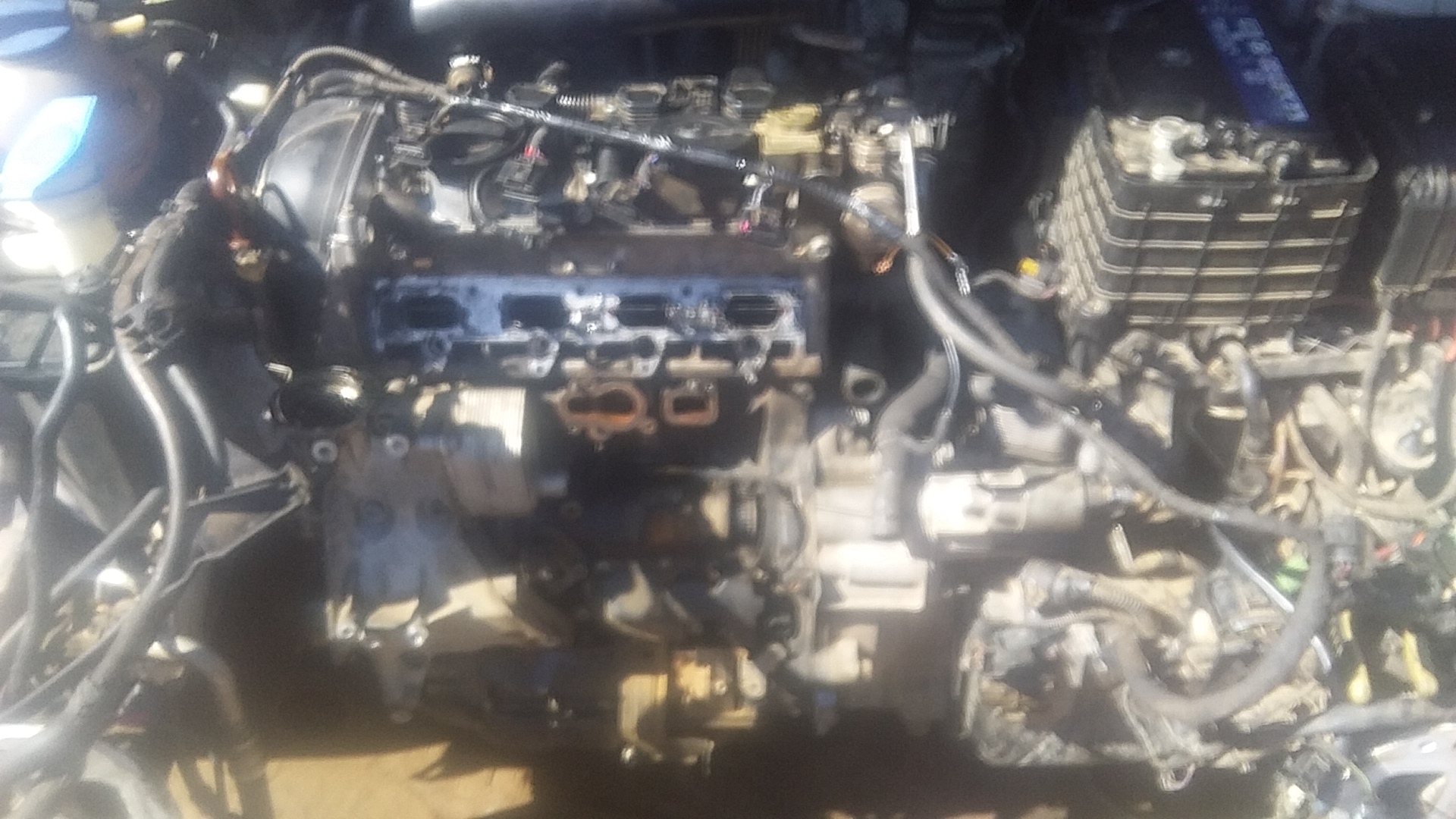 Nare Dlou photo 1814