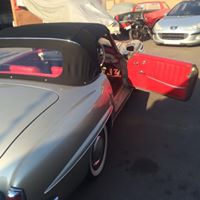 PITMANS AFRICA picture