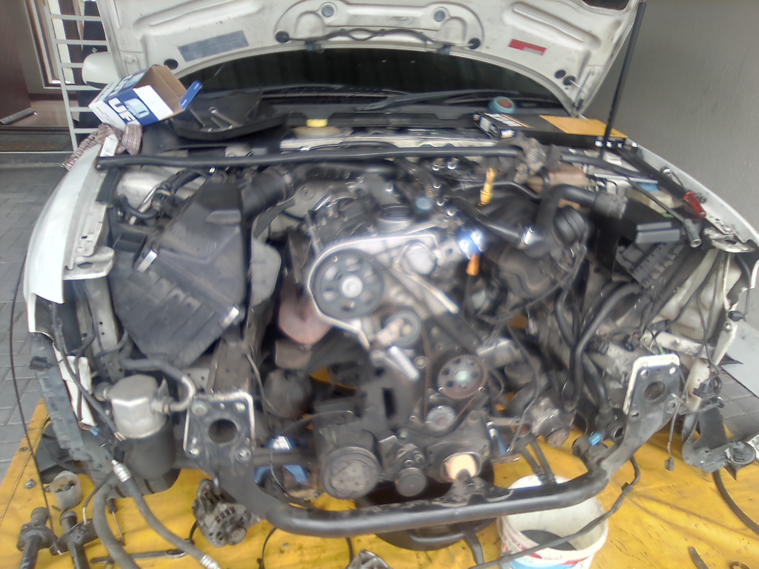 The Sprinter Guy picture