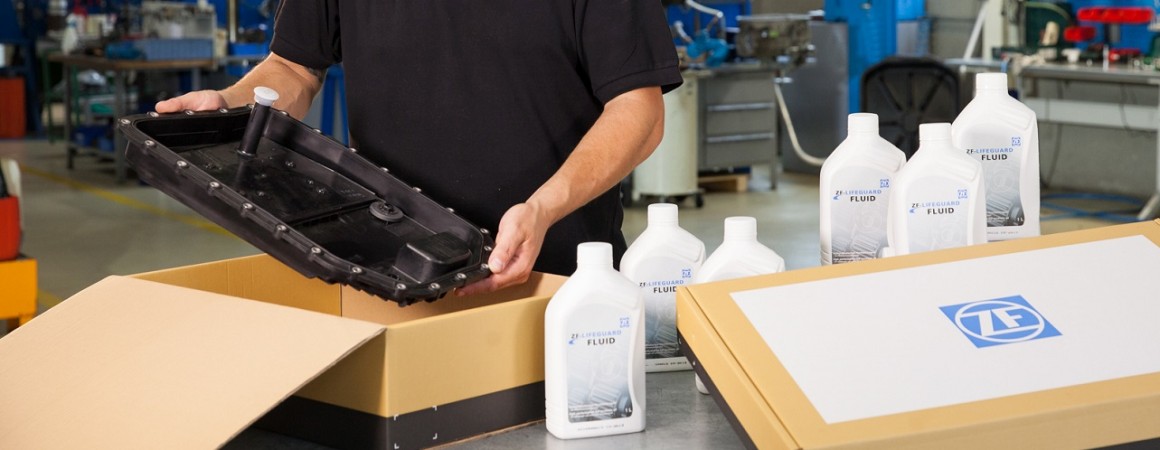 ZF SERVICES SOUTH AFRICA picture